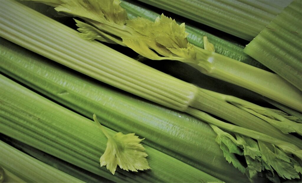celery