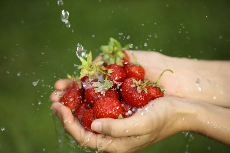 washing strawberries