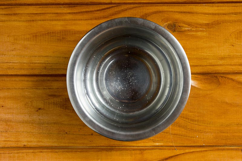 water in the metal pet bowl
