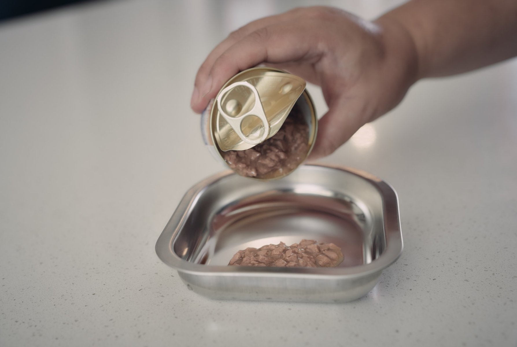 wet cat food in hepper nom nom replacement dish