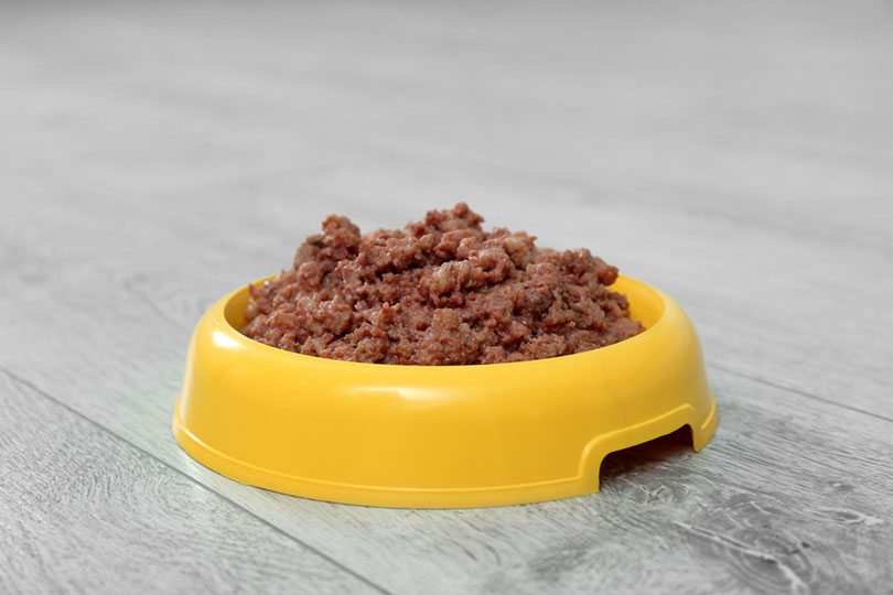 wet-dog-food-in-a-yellow-bowl