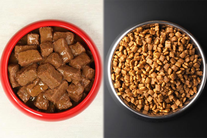 wet vs dry dog food