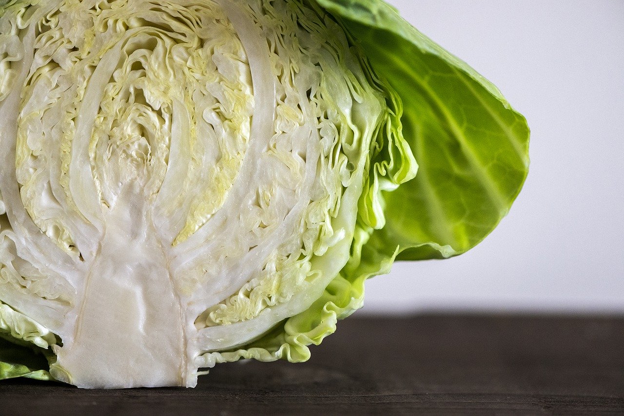 sliced cabbage