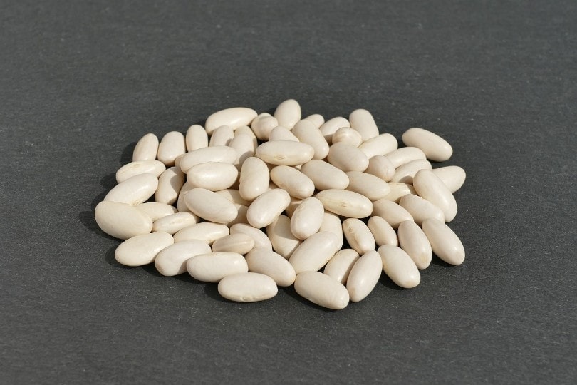 white beans