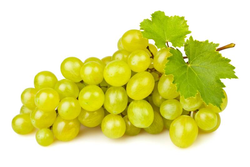 white grape on white background