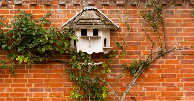 white birdhouse on a red brick wall with climbing roses