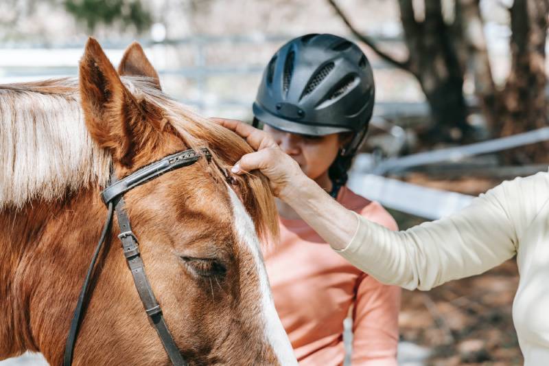 woman and girl grooming the horse