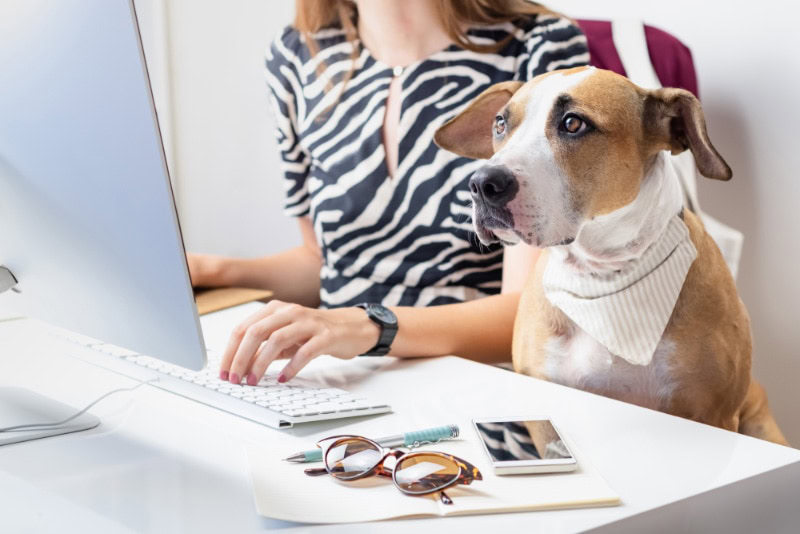 woman and her dog in a workplace