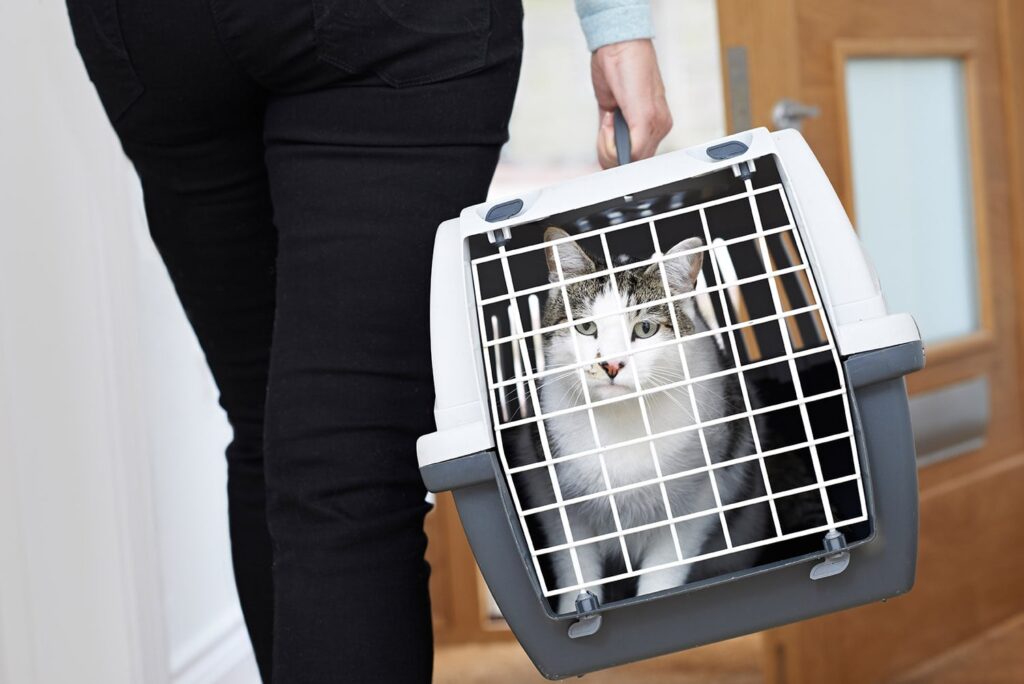 woman carrying cat in a carrier