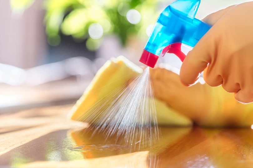 woman cleaning table
