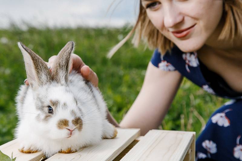 woman holds a rabbit in her arms