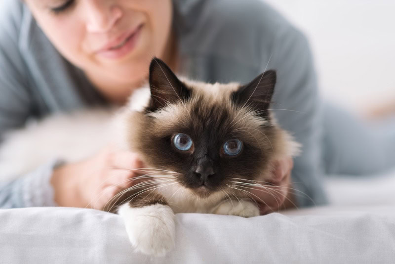 woman lying on bed with her cat