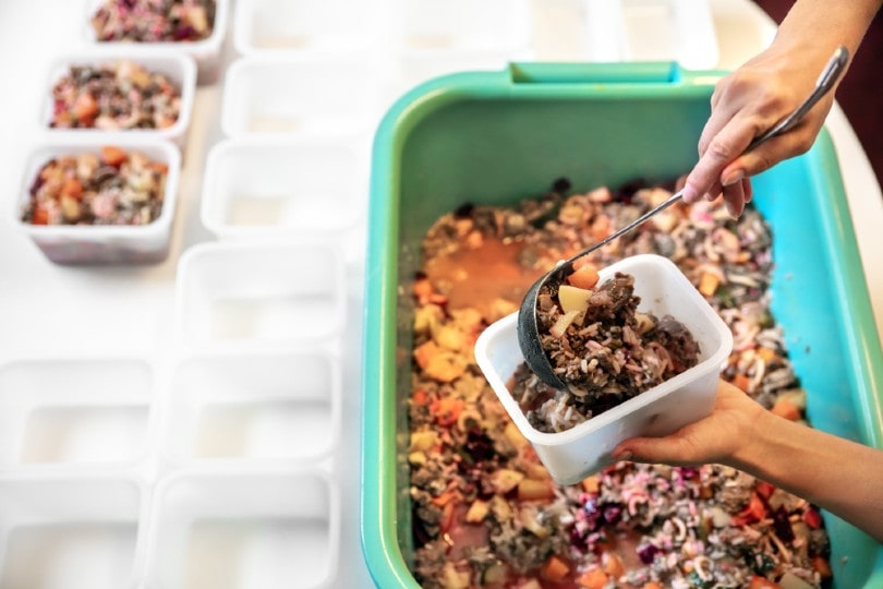 woman making homemade dog food and filling containers with it