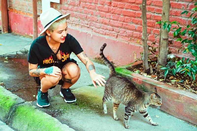 woman reaching out to touch a tabby stray cat in the street