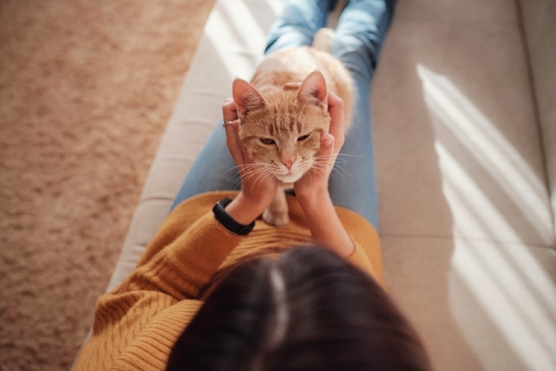 woman resting with cat in sofa at home