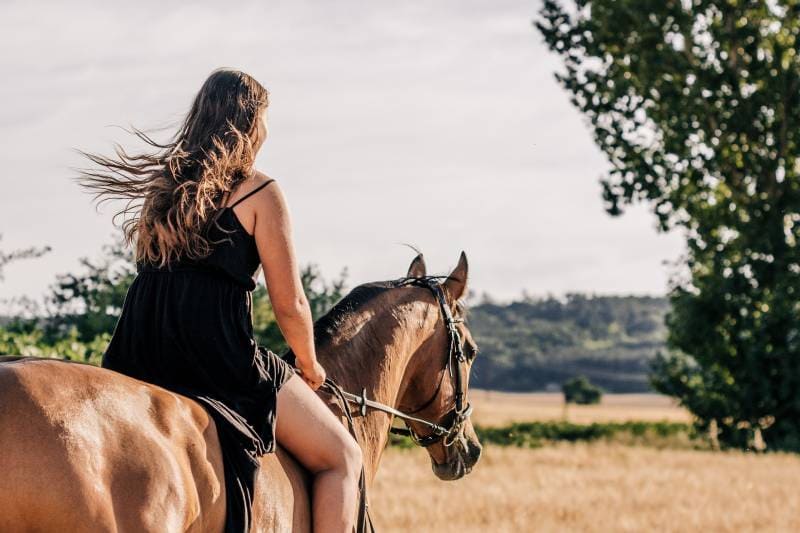 woman riding a horse facing the field
