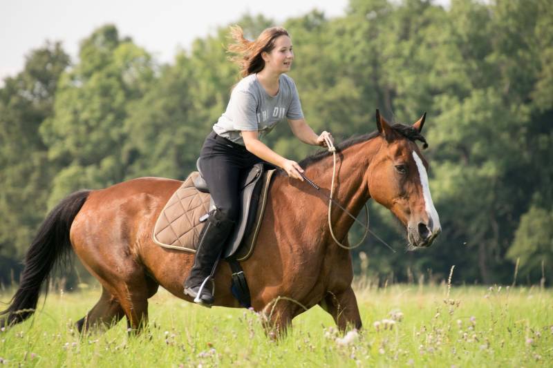 woman riding a horse in the field