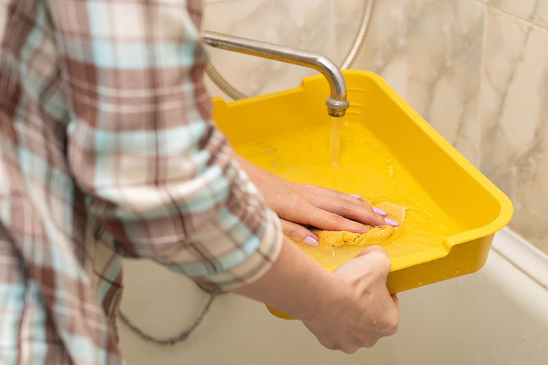 woman washing cat litter box in bathroom. cat litter cleaning
