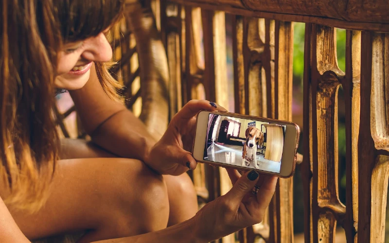 woman watching a beagle dog video on her phone