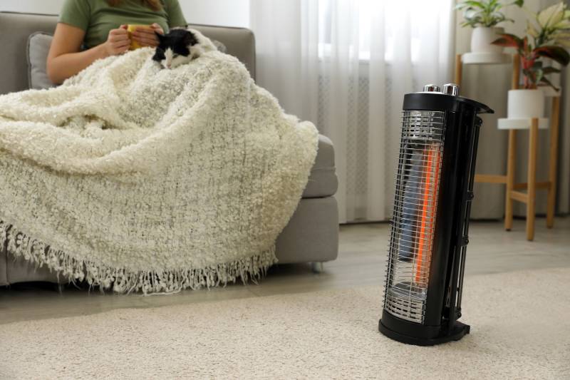 woman with cat at home with a space heater nearby