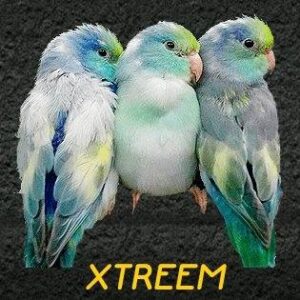 xtreemparrotlets logo