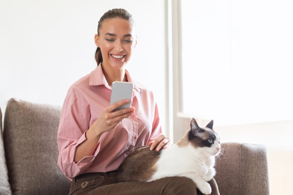 woman using her phone with her cat on the lap