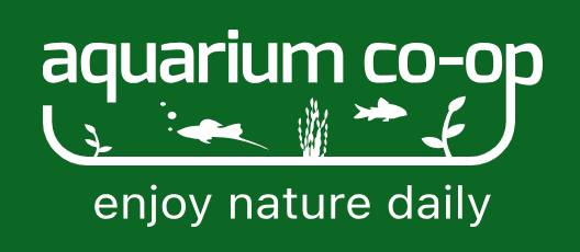 Aquarium Co-op Blog