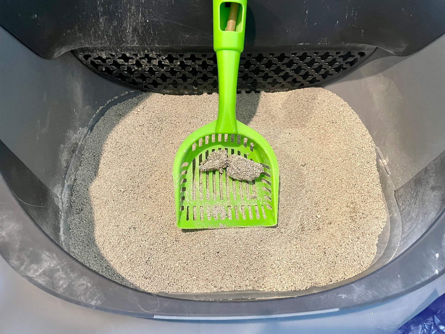 Boxie Glo Natural Attractions Clumping Clay Litter - cat waste clumped by the litter