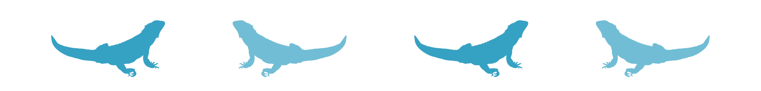 Divider_Bearded Dragon