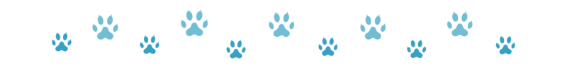 Divider_Cat Paws