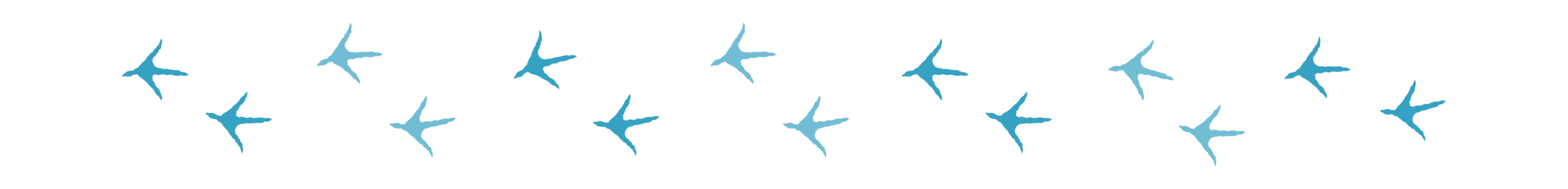 Divider_Chicken Feet_turkey