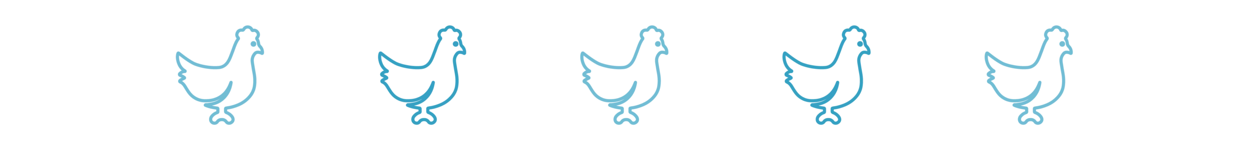 Divider_Chicken_bird