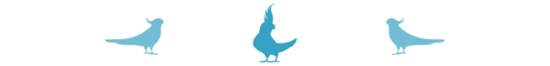 Divider_Cockatiel_bird