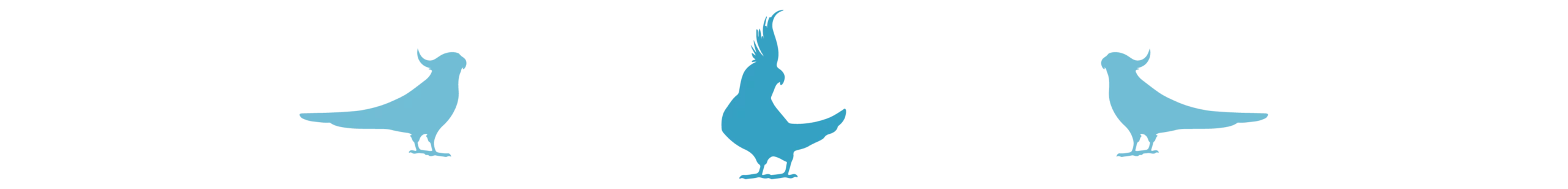 Divider_Cockatiel_bird