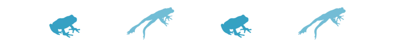 Divider_Frog