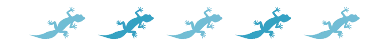 Divider_Gecko 2