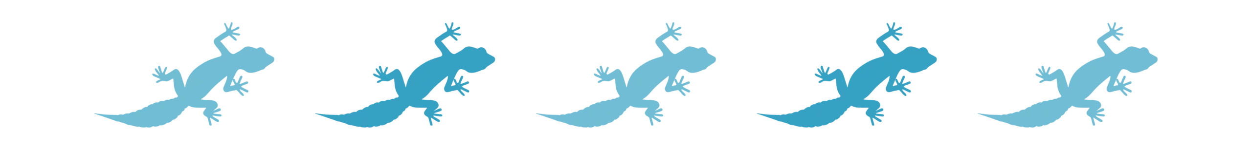 Divider_Gecko 2