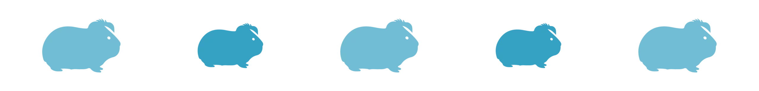 Divider_Guinea Pig
