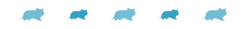 Divider_Hamsters