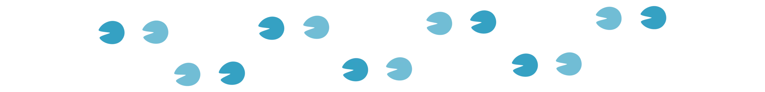 Divider_Horse Paws_hooves