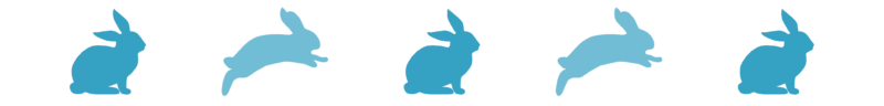 Divider_Rabbit