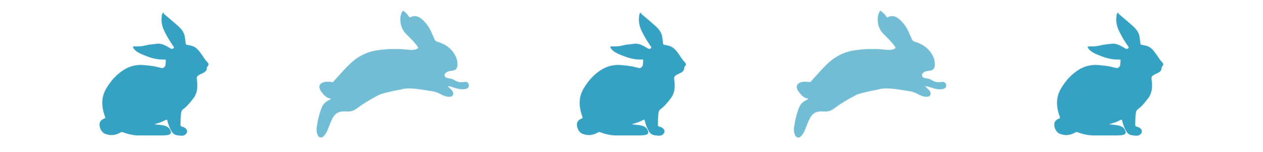 Divider_Rabbit