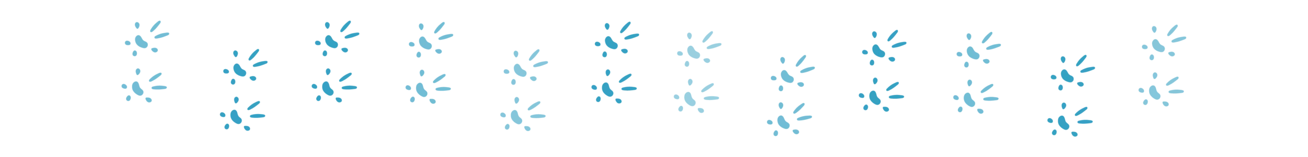 Divider_Rodent Paw_hamster_gerbil_ferret_guinea