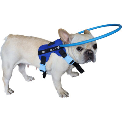 HQSLC Blind Dog Harness
