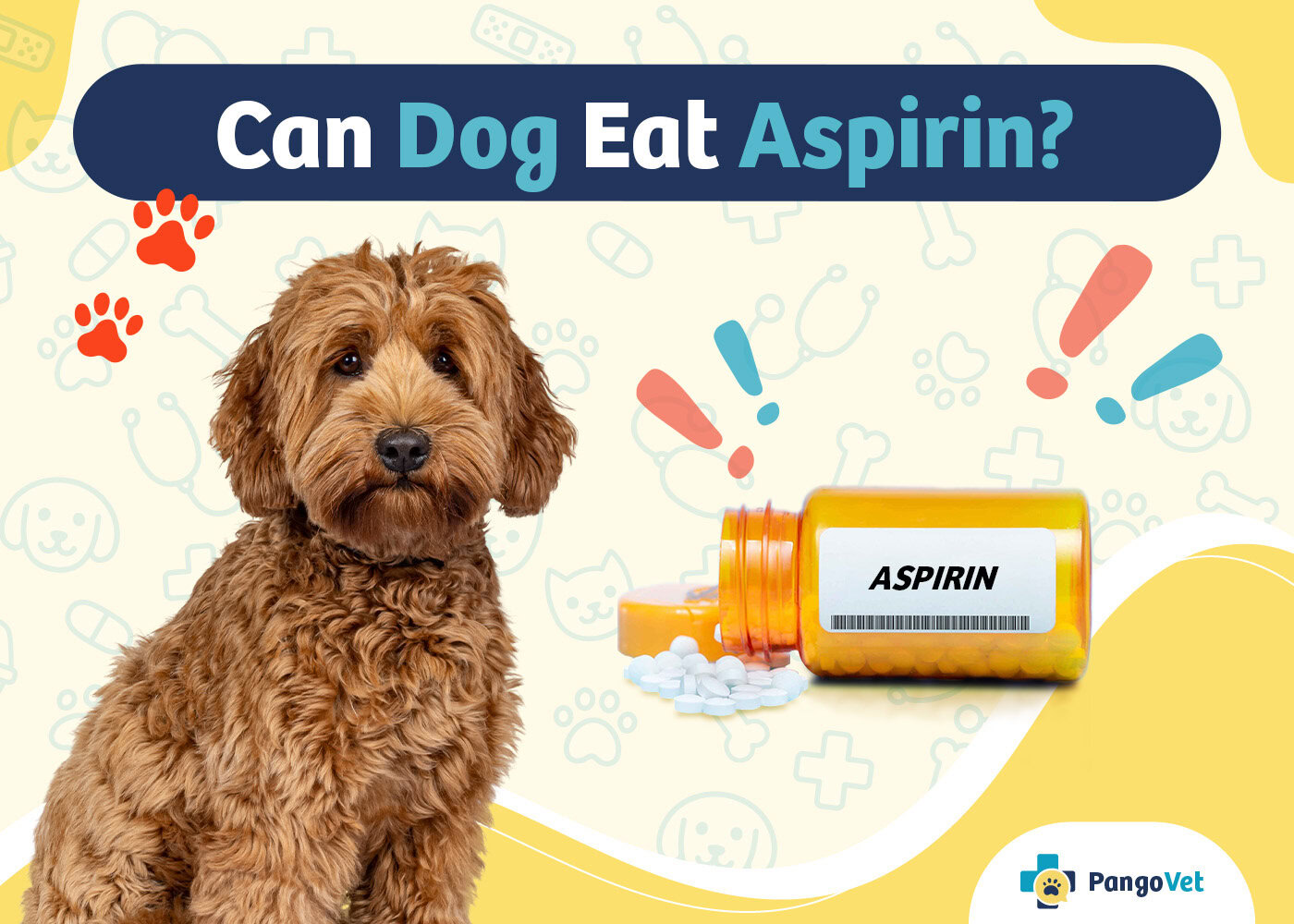 PangoVet_Can Dogs Eat Aspirin