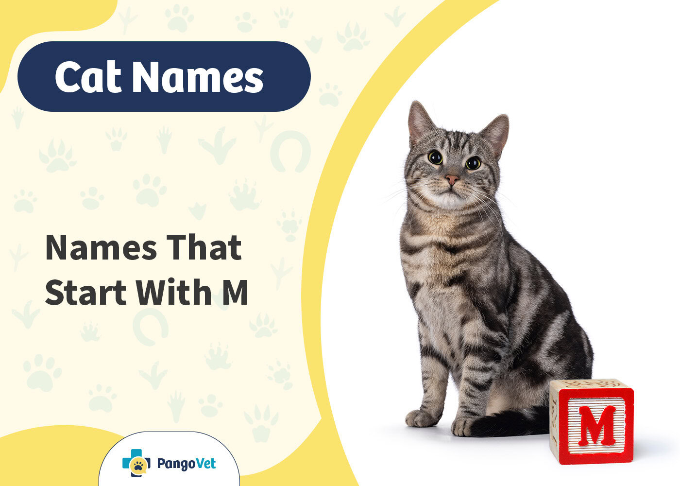 PangoVet_Cat Names that Start with M