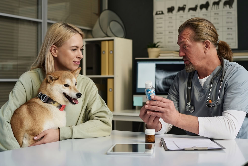 Vet-doctor-talking-about-prescribed-medicine-to-dog-owner