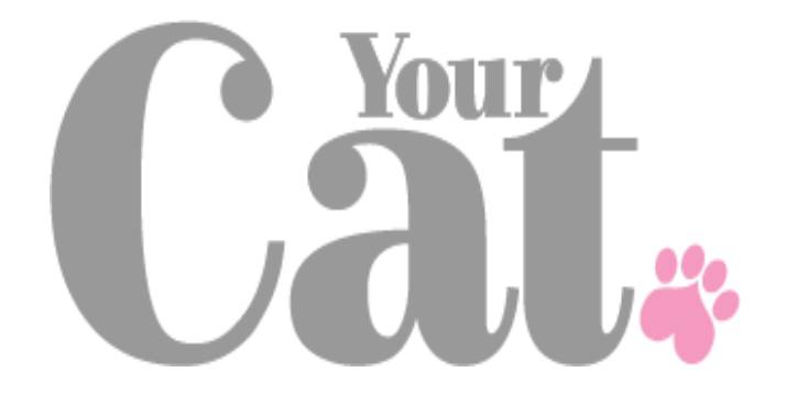 Your Cat