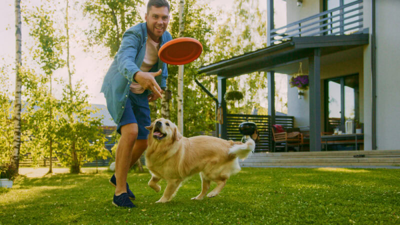 man playing frisbee with dog at the yard