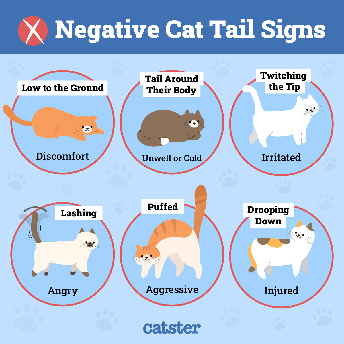 Negative Cat Tail Language